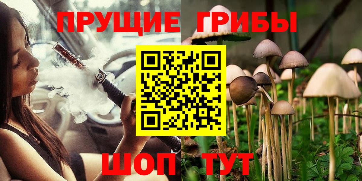 Красноармейск  Псилоцибиновые грибы Psilocybe  Галлюциногенные грибы Psilocybe  Вход с VPN 